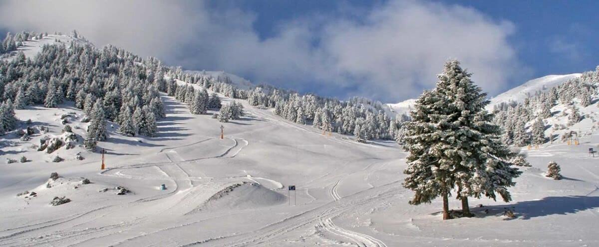 Forest Cosy House - Lagkadia Amazing View Extérieur photo